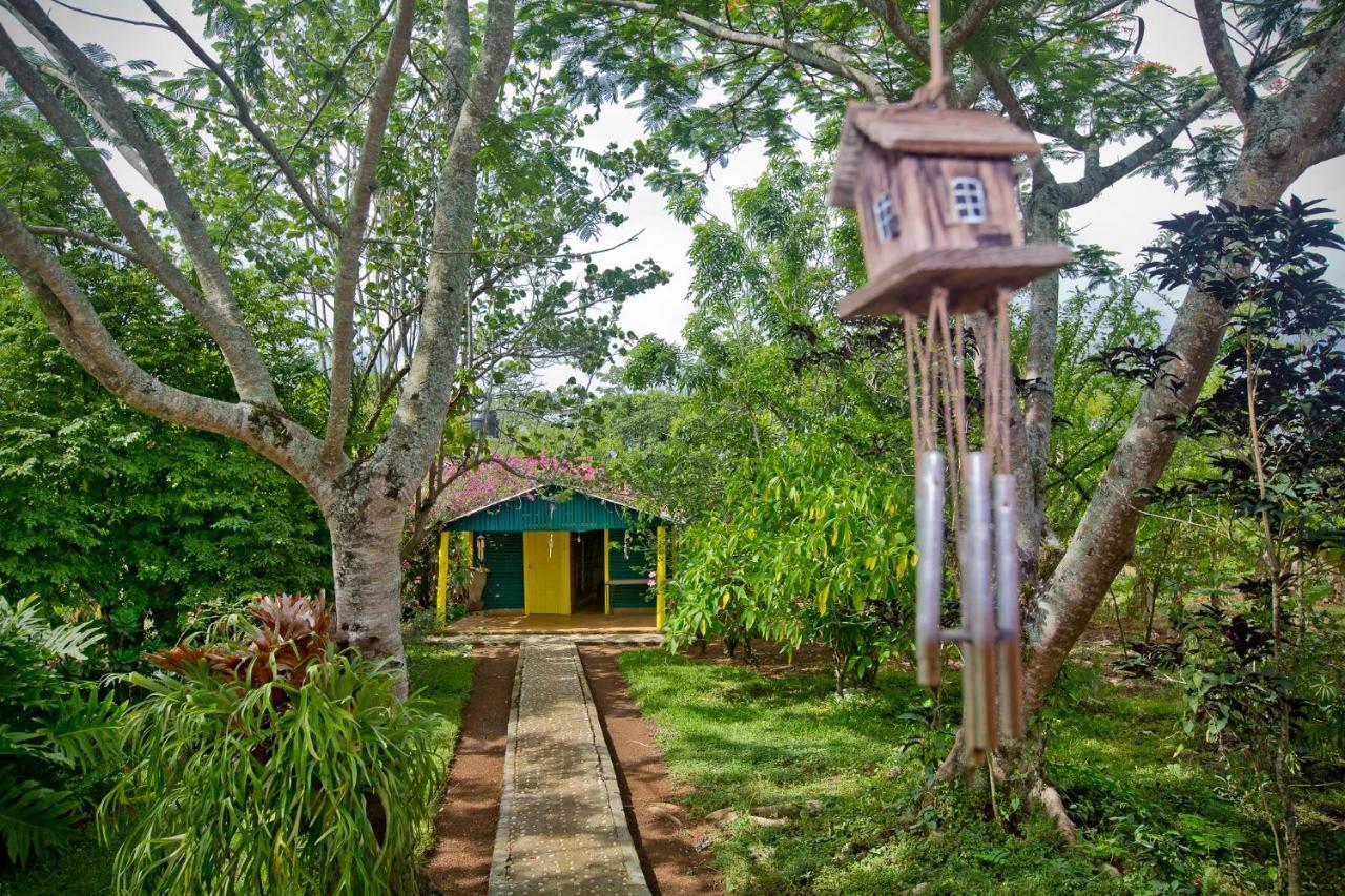 Villa Anacahuita, Limonal Харабакоа Екстериор снимка